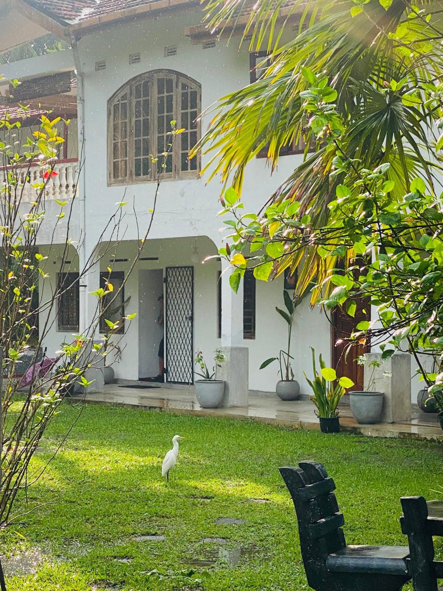Sunny'S Garden Hotel Ambalangoda  Eksteriør bilde